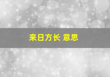 来日方长 意思